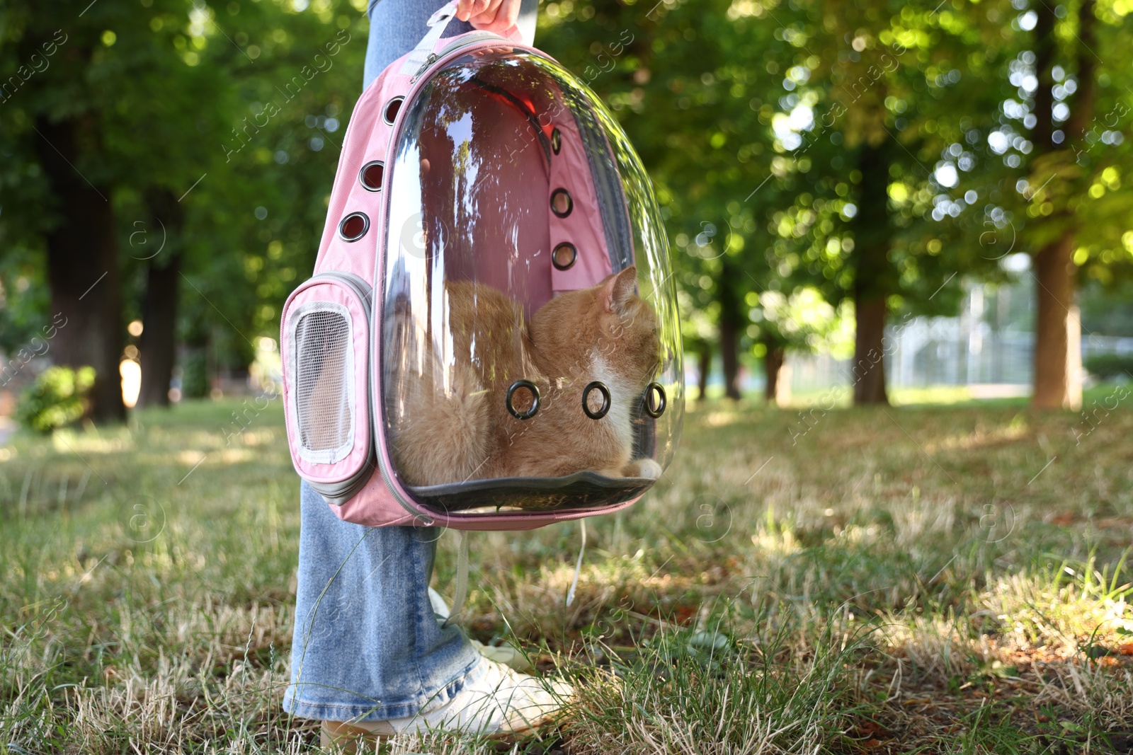 Photo of Woman with her cute cat in backpack carrier at park, closeup
