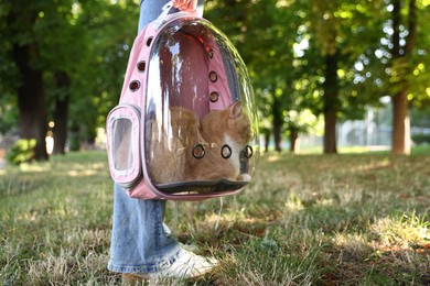 Photo of Woman with her cute cat in backpack carrier at park, closeup