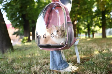 Photo of Woman with her cute cat in backpack carrier at park, closeup