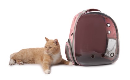 Photo of Cute cat and backpack carrier on white background
