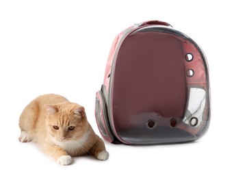 Photo of Cute cat and backpack carrier on white background