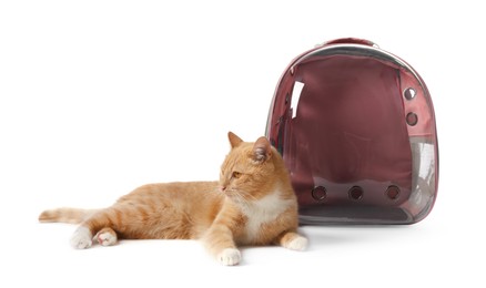 Photo of Cute cat and backpack carrier on white background