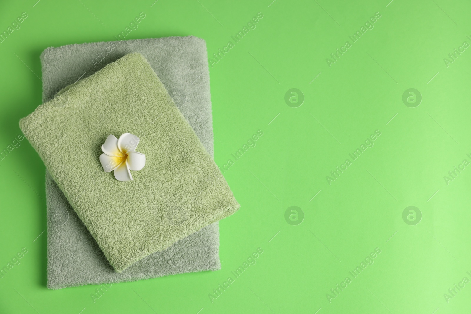 Fresh terry towels and plumeria flower on green background, top view. Space for text Photo of Fresh terry towels and plumeria flower on green background, top view. Space for text