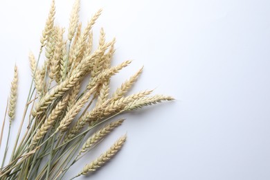 Photo of Many wheat spikes on white background, flat lay. Space for text