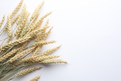 Photo of Many wheat spikes on white background, flat lay. Space for text