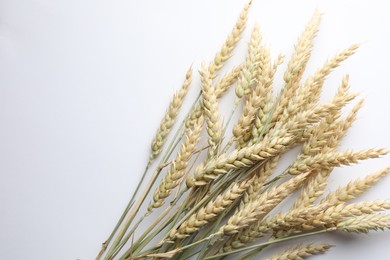 Photo of Many wheat spikes on white background, flat lay. Space for text