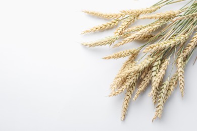 Photo of Many wheat spikes on white background, flat lay. Space for text