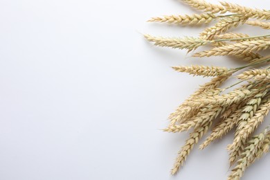 Photo of Many wheat spikes on white background, flat lay. Space for text