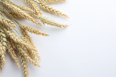 Photo of Many wheat spikes on white background, flat lay. Space for text