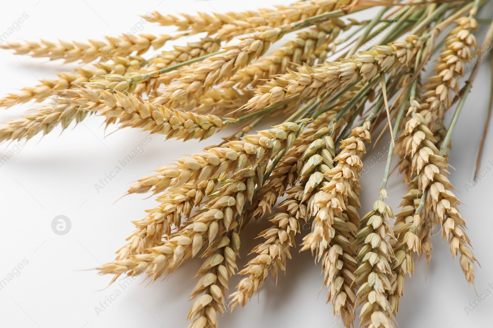 Many wheat spikes on white background, closeup Photo of Many wheat spikes on white background, closeup