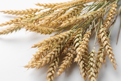 Photo of Many wheat spikes on white background, closeup