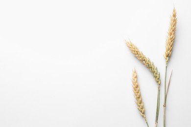 Photo of Wheat spikes on white background, flat lay. Space for text