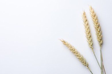Photo of Wheat spikes on white background, flat lay. Space for text