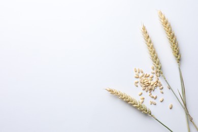 Photo of Wheat spikes and seeds on white background, flat lay. Space for text