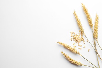 Photo of Wheat spikes and seeds on white background, flat lay. Space for text