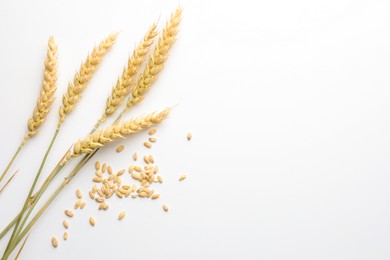 Photo of Wheat spikes and seeds on white background, flat lay. Space for text