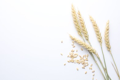 Photo of Wheat spikes and seeds on white background, flat lay. Space for text