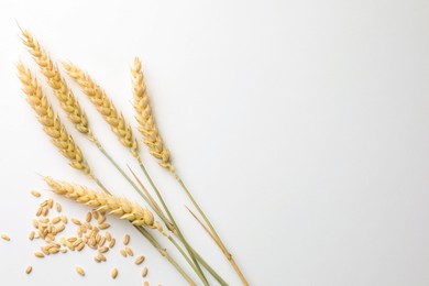 Photo of Wheat spikes and seeds on white background, flat lay. Space for text