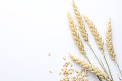 Photo of Wheat spikes and seeds on white background, flat lay. Space for text