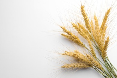 Photo of Wheat spikes on white background, flat lay. Space for text
