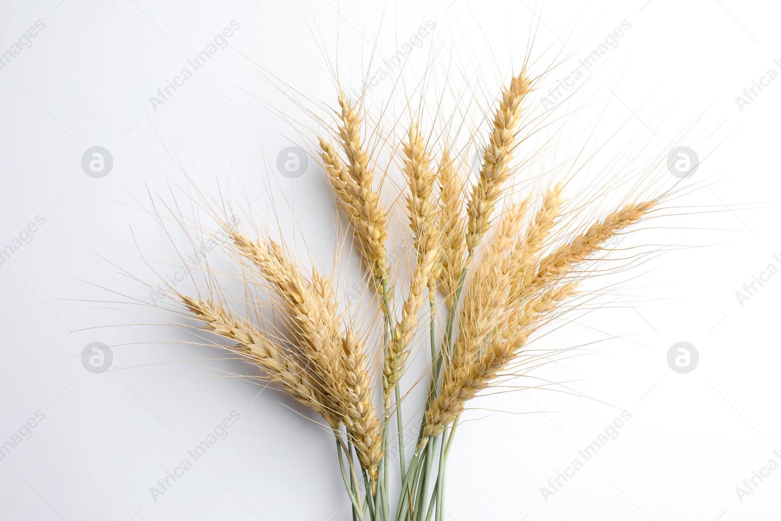 Photo of Wheat spikes on white background, flat lay