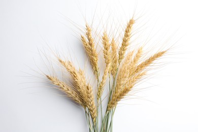 Photo of Wheat spikes on white background, flat lay