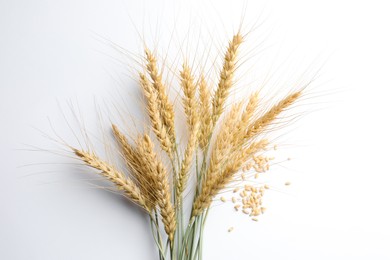 Photo of Wheat spikes and seeds on white background, flat lay