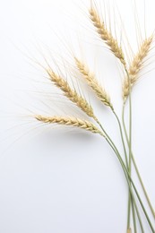 Photo of Wheat spikes on white background, flat lay