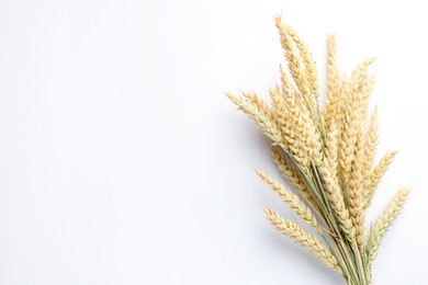 Photo of Wheat spikes on white background, top view. Space for text