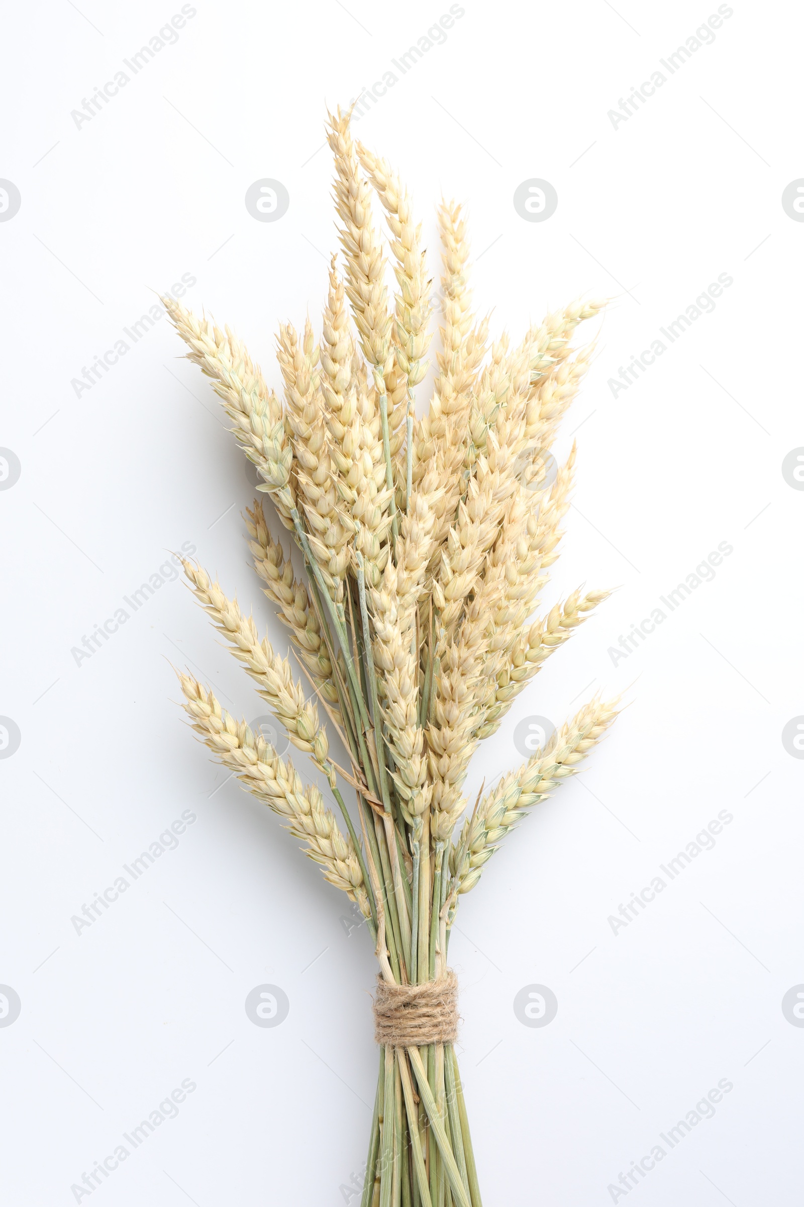 Photo of Bunch of wheat spikes on white background, top view