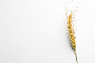 Photo of One wheat spike on white background, top view. Space for text