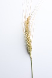 Photo of One wheat spike on white background, top view