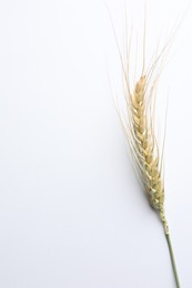 Photo of One wheat spike on white background, top view. Space for text