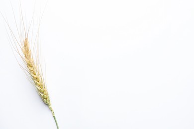 Photo of One wheat spike on white background, top view. Space for text