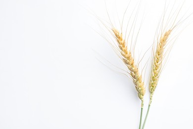 Photo of Wheat spikes on white background, flat lay. Space for text