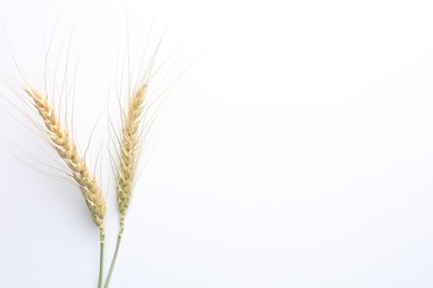 Photo of Wheat spikes on white background, flat lay. Space for text