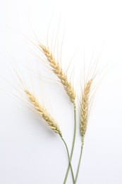 Photo of Wheat spikes on white background, flat lay