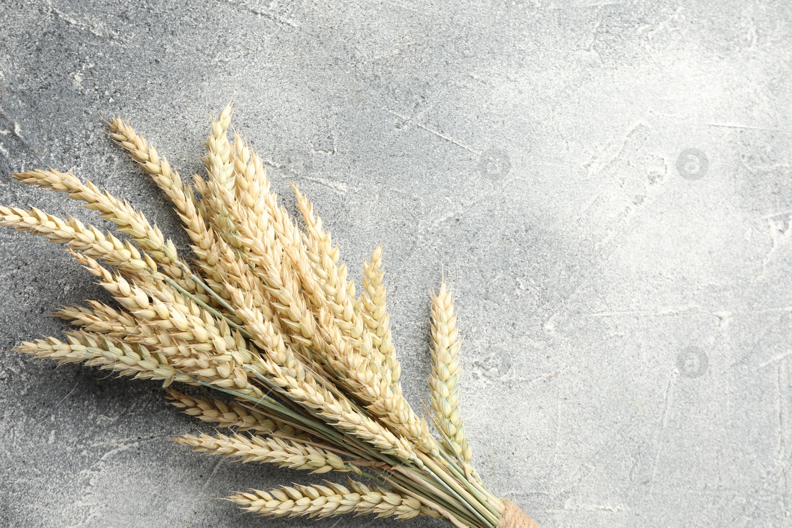 Many wheat spikes on grey textured table, top view. Space for text Photo of Many wheat spikes on grey textured table, top view. Space for text