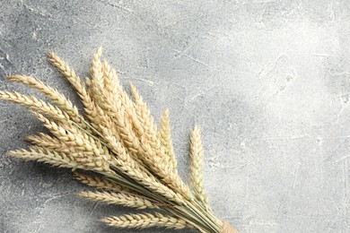 Photo of Many wheat spikes on grey textured table, top view. Space for text