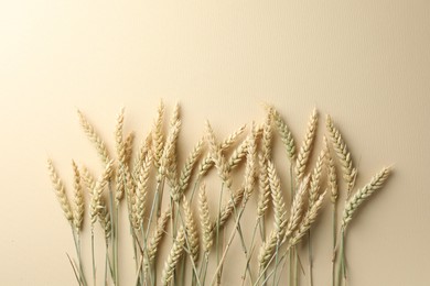 Photo of Many wheat spikes on beige background, flat lay. Space for text