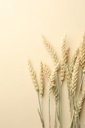 Photo of Many wheat spikes on beige background, flat lay. Space for text