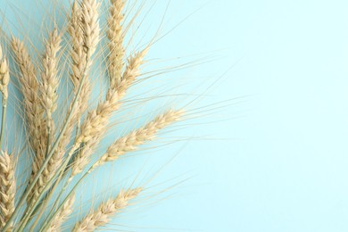 Photo of Many wheat spikes on light background, flat lay. Space for text