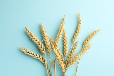 Photo of Many wheat spikes on light turquoise background, flat lay