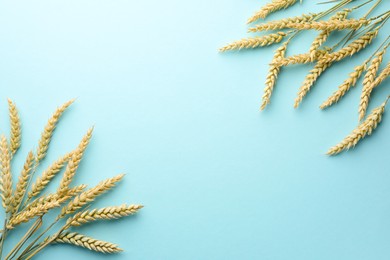 Photo of Many wheat spikes on light turquoise background, flat lay. Space for text