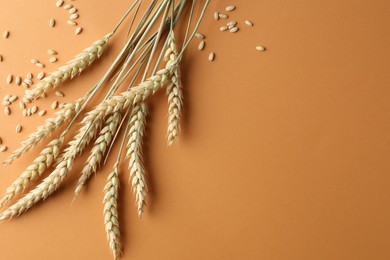 Photo of Many wheat spikes and seeds on golden background, flat lay. Space for text