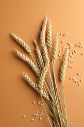 Photo of Many wheat spikes and seeds on golden background, flat lay