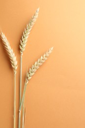 Photo of Wheat spikes on golden background, flat lay. Space for text