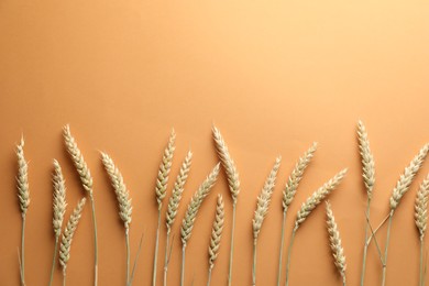 Photo of Many wheat spikes on golden background, flat lay. Space for text
