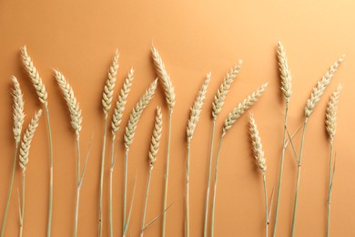 Photo of Many wheat spikes on golden background, flat lay