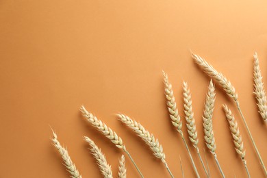 Photo of Many wheat spikes on golden background, flat lay. Space for text